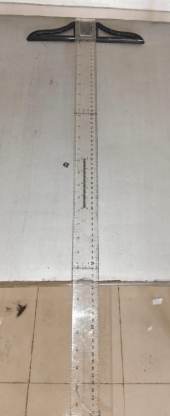 T Scale